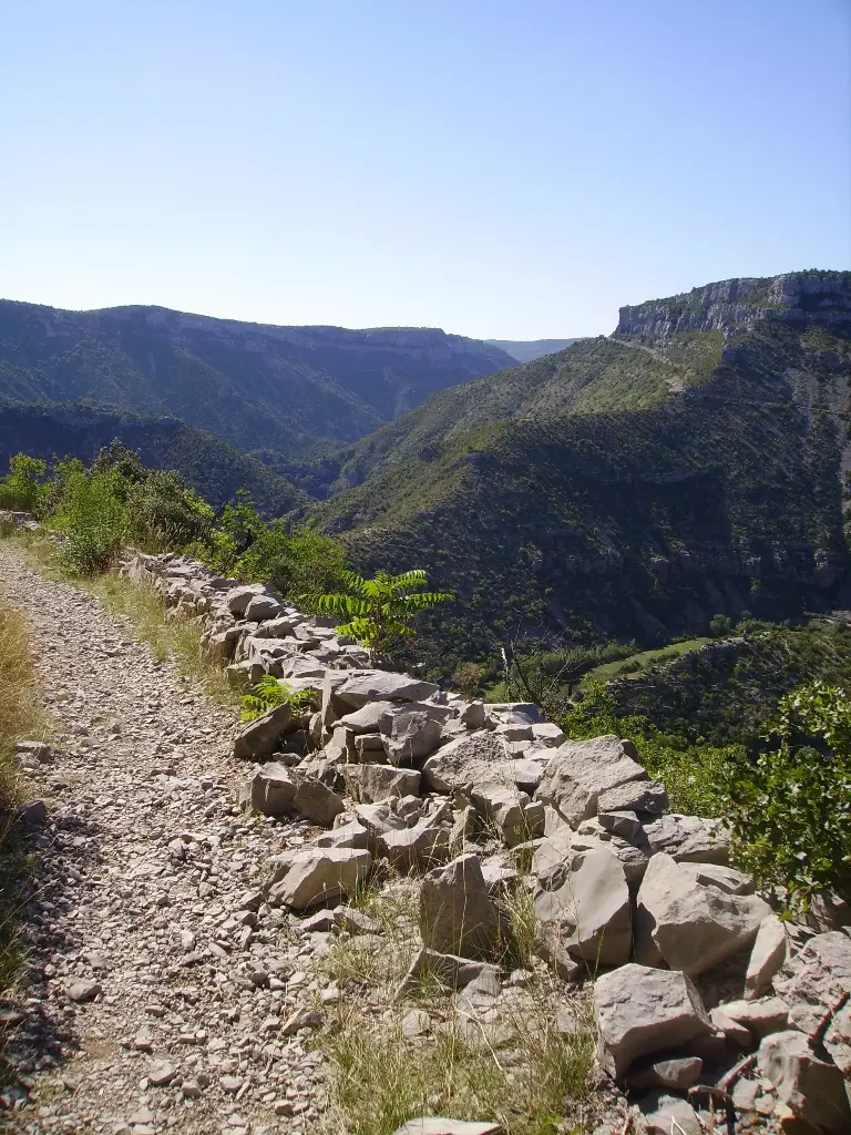 DELCOIGNE ANNE-SOPHIE